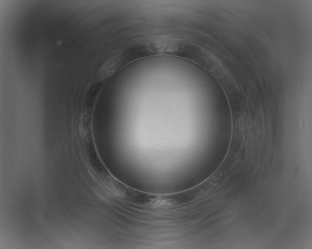 X0000073830218200608170949