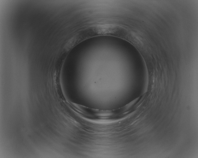 X0000073830219200608170949