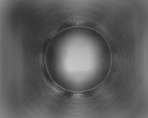 X0000073830222200608170949