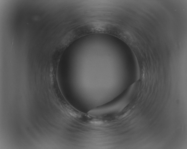 X0000073830223200608170949