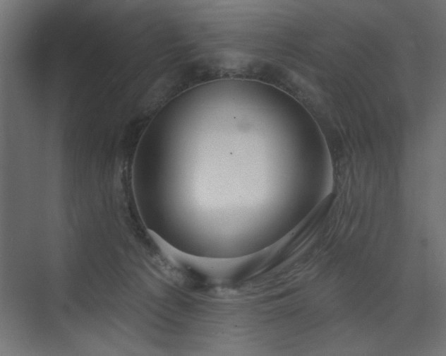 X0000073830225200608170949