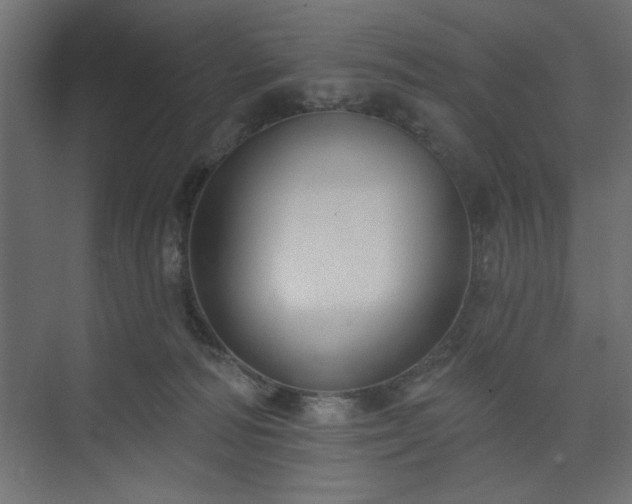 X0000073830226200608170949