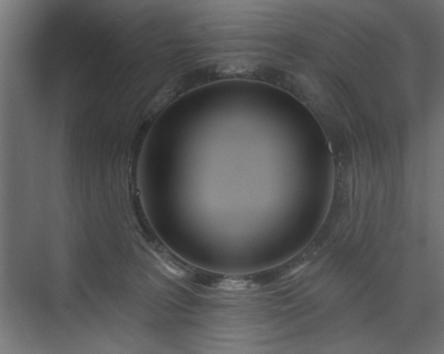 X0000073830227200608170949