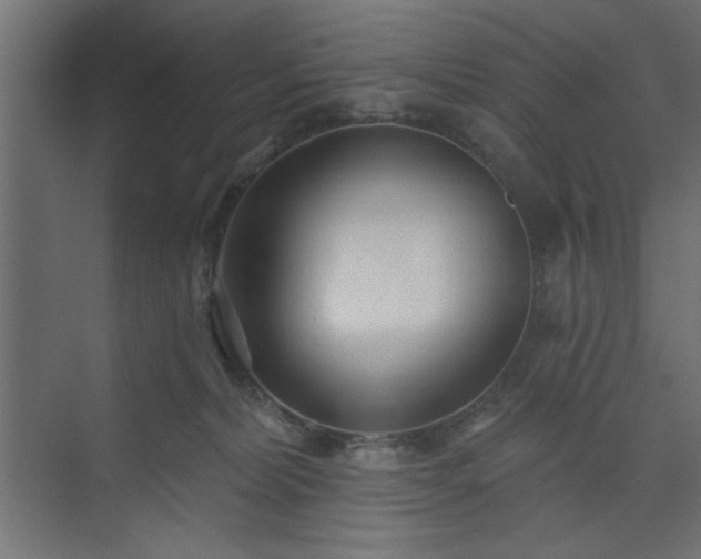 X0000073830228200608170949