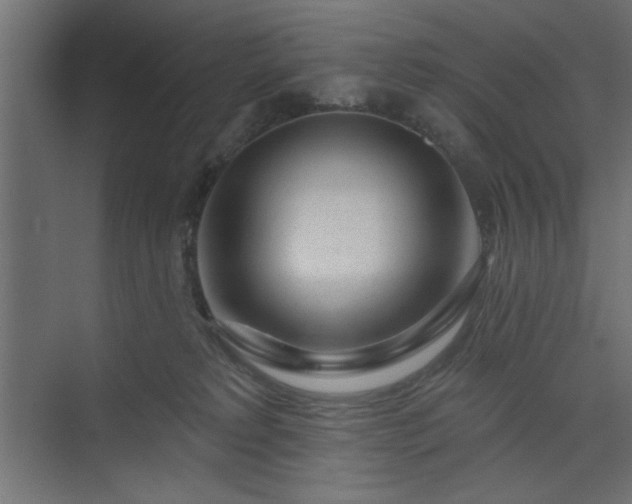 X0000073830229200608170949