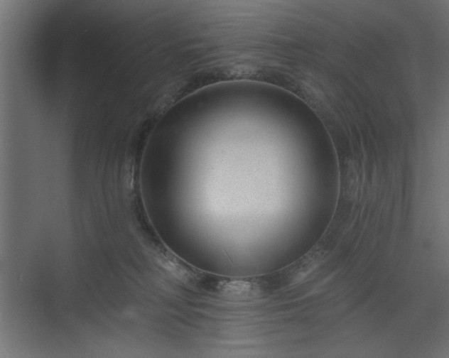 X0000073830230200608170949