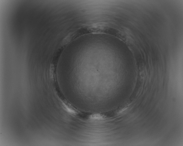 X0000073830231200608170949