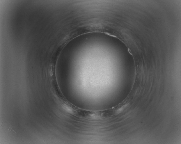 X0000073830232200608170949