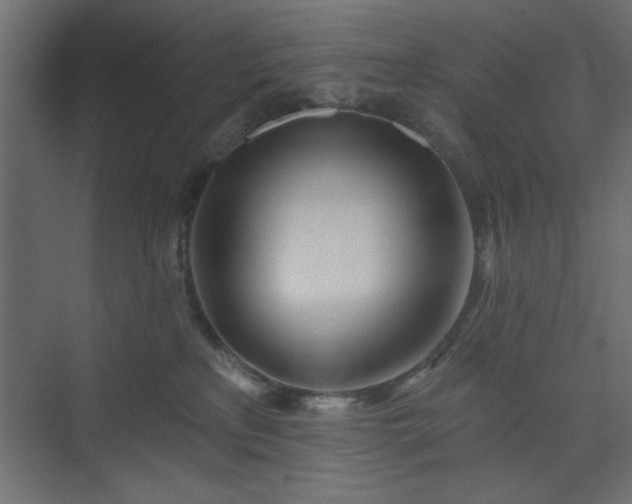 X0000073830233200608170949