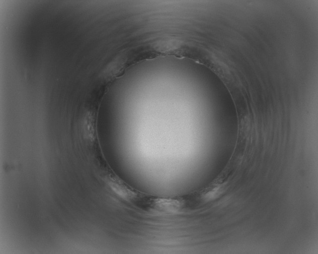 X0000073830234200608170949