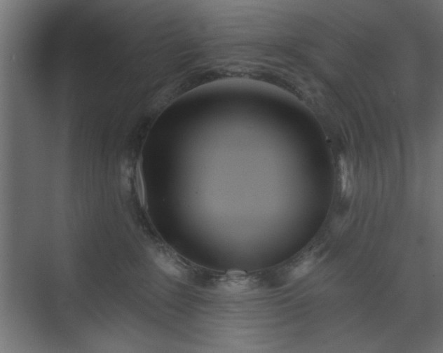 X0000073830235200608170949