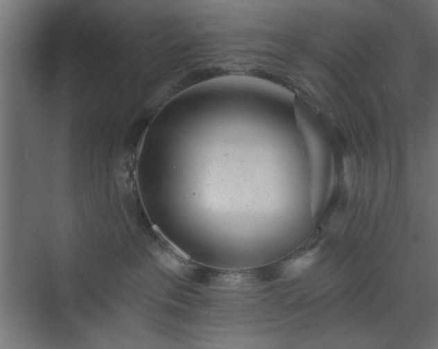 X0000073830237200608170949