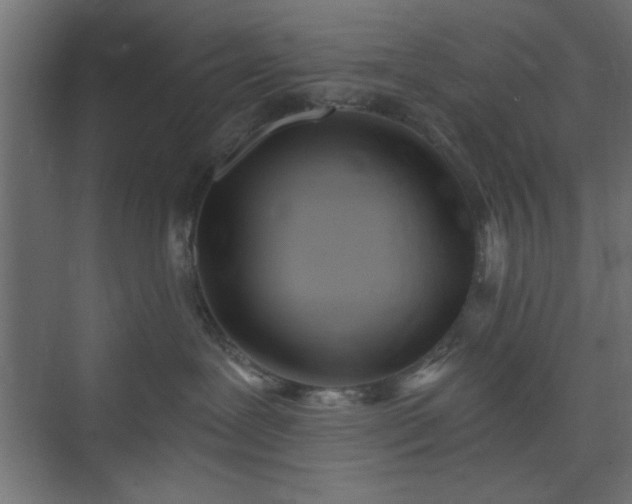 X0000073830239200608170949