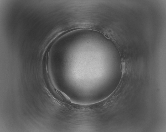 X0000073830243200608170948