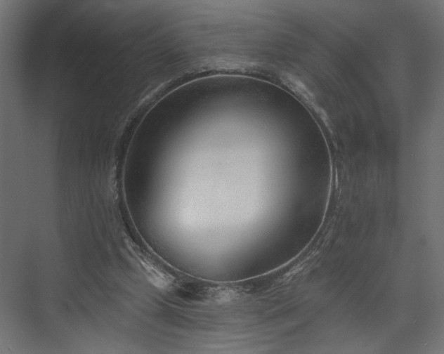 X0000073830249200608170948