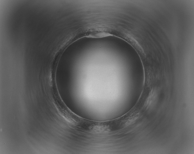 X0000073830251200608170948