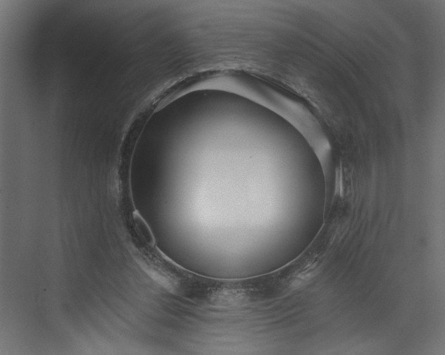 X0000073830252200608170948