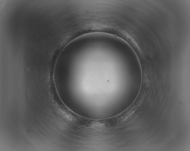 X0000073830257200608170948