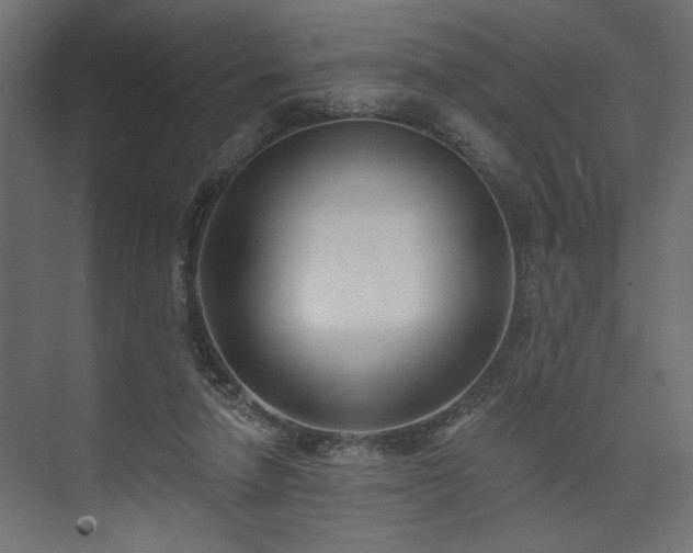 X0000073830258200608170948