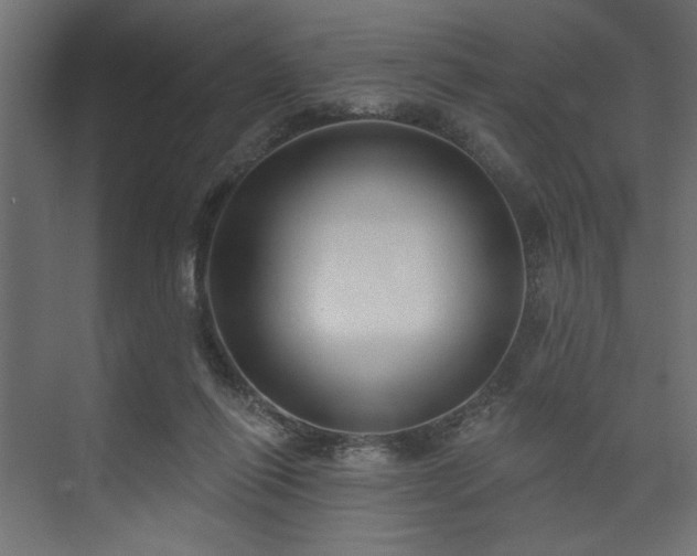 X0000073830262200608170948