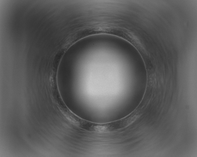 X0000073830265200608170948