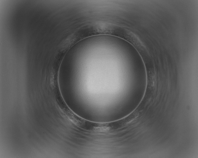 X0000073830266200608170948