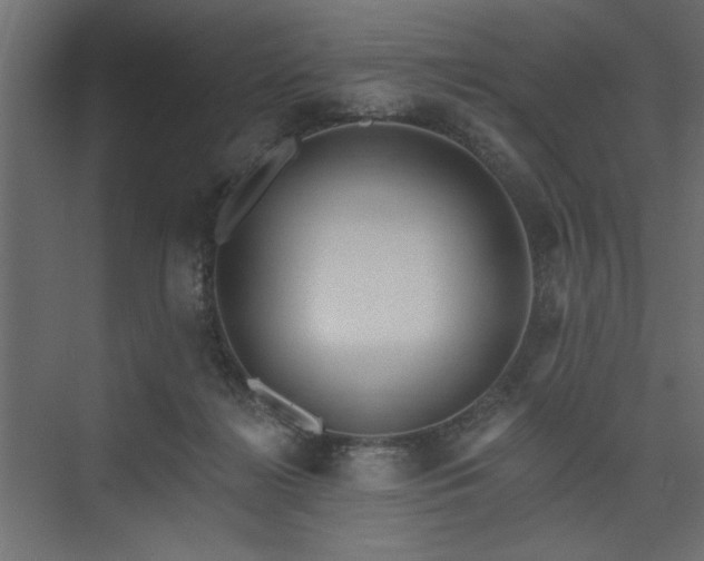 X0000073830268200608170948