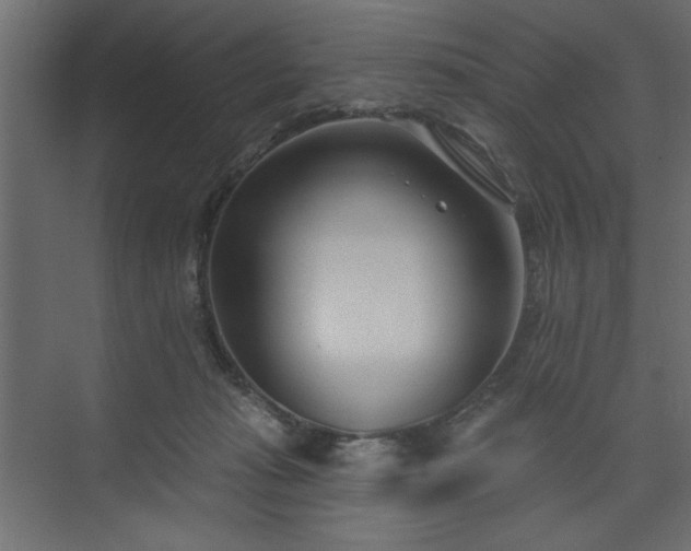 X0000073830269200608170949