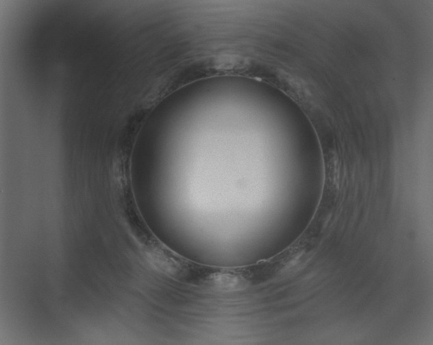 X0000073830272200608170949