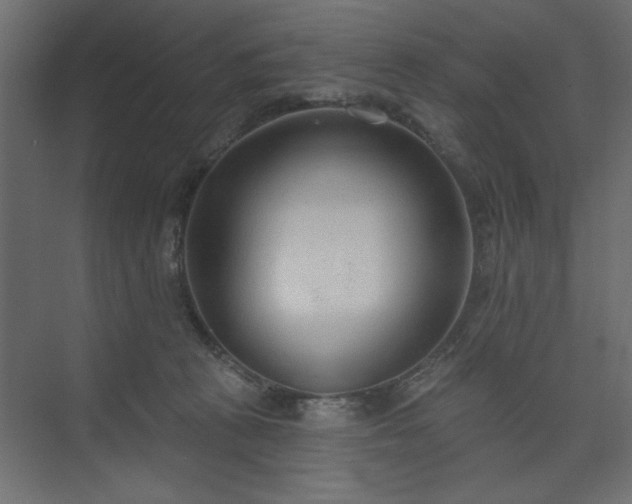 X0000073830273200608170949