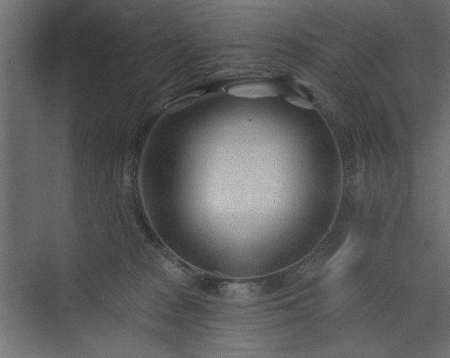 X0000073830277200608170949