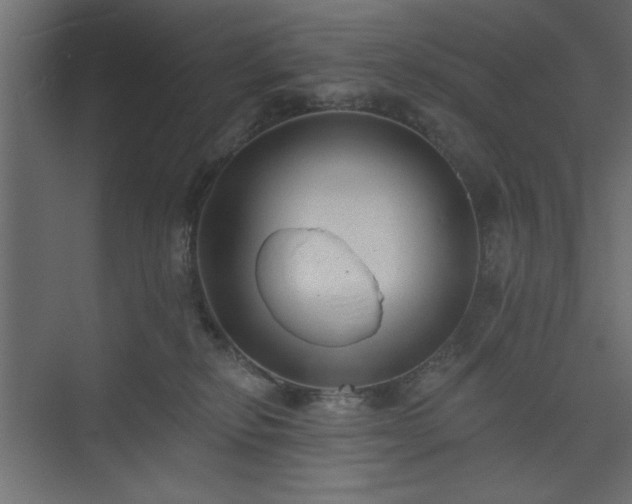 X0000073830278200608170949