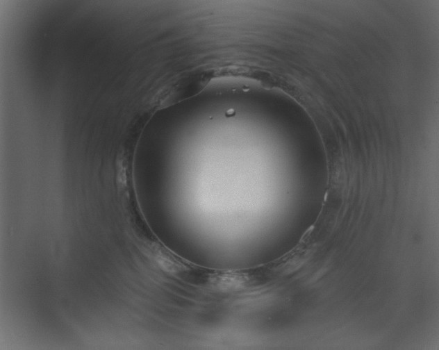 X0000073830282200608170949