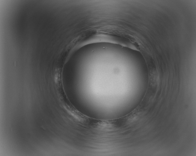 X0000073830284200608170949