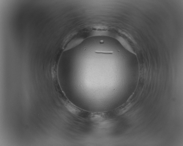 X0000073830285200608170949