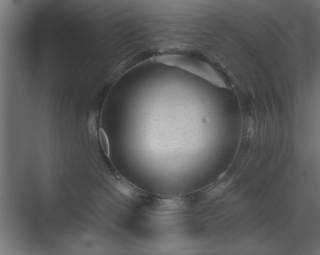 X0000073830286200608170949