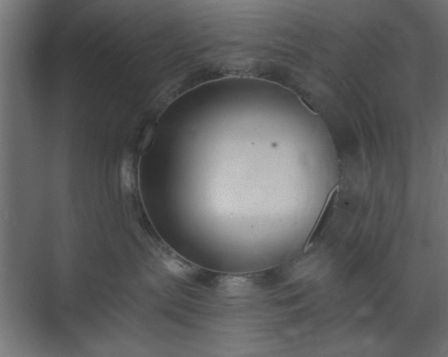 X0000073830287200608170949