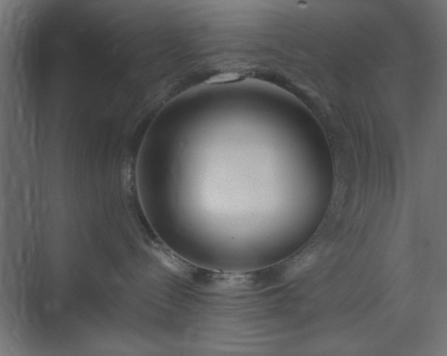 X0000073830288200608170949