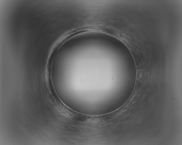 X0000073830294200608170948