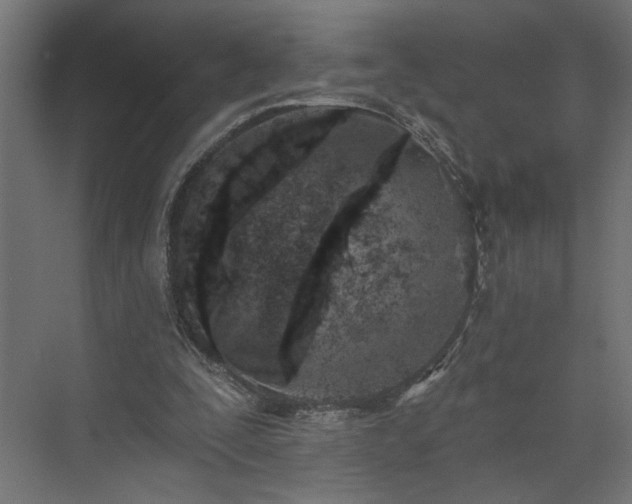 X0000073830295200608170948