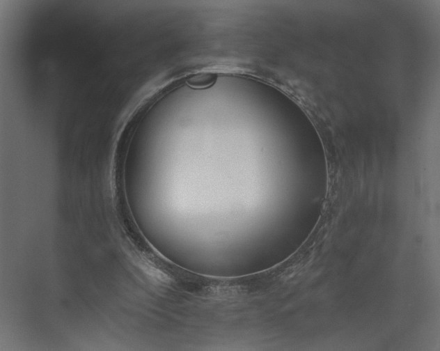 X0000073830296200608170948