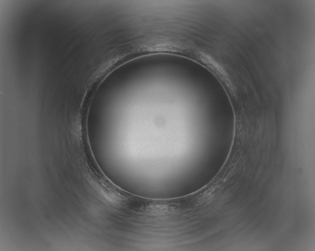 X0000073830298200608170948