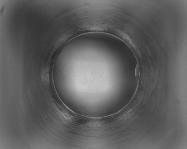 X0000073830299200608170948