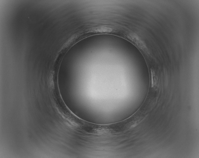 X0000073830300200608170948