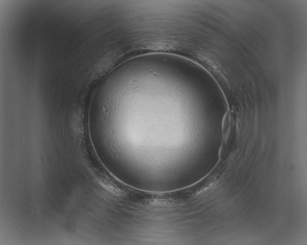 X0000073830303200608170948