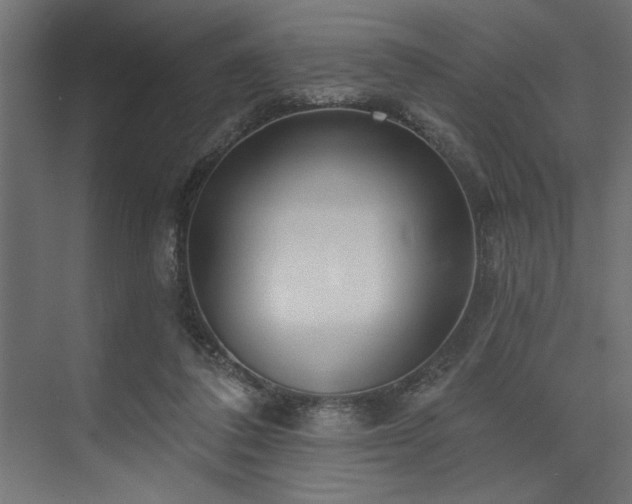 X0000073830308200608170948