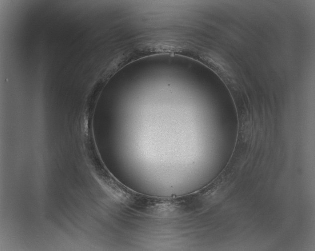 X0000073830310200608170948