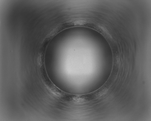 X0000073830311200608170948