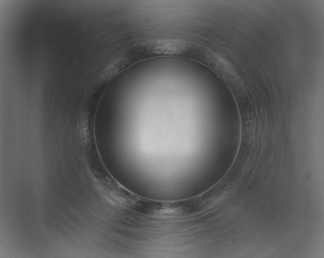 X0000073830312200608170948