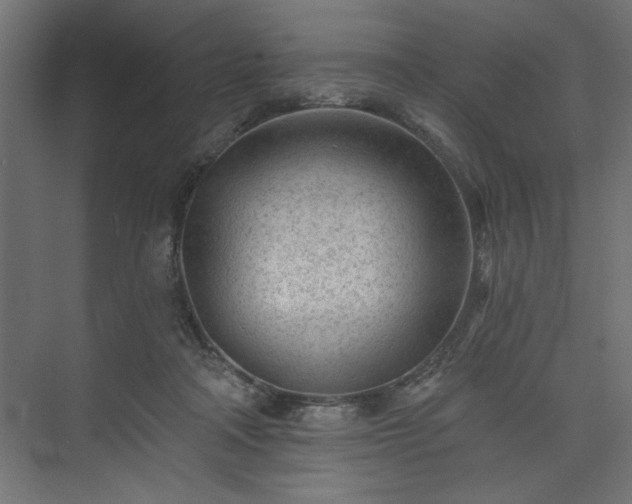 X0000073830314200608170948